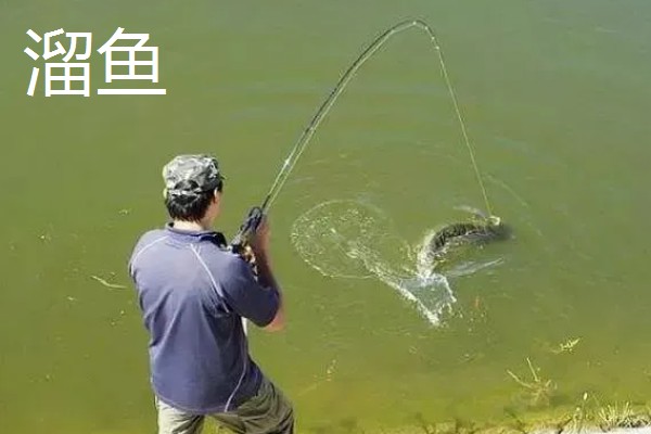 钓鱼的简介，最早可追溯到5万年前