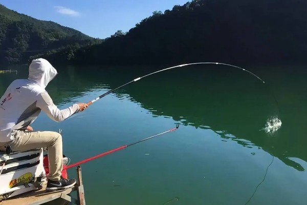 钓鱼的简介，最早可追溯到5万年前