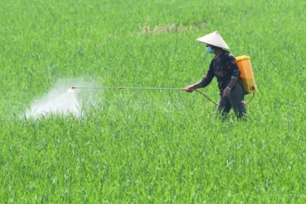五氟氰氟草的使用方法，施药量按杂草密度和叶龄确定