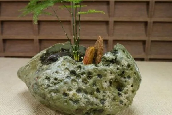 自制石头盆景的方式，一般可以用吸水石和砾石制作