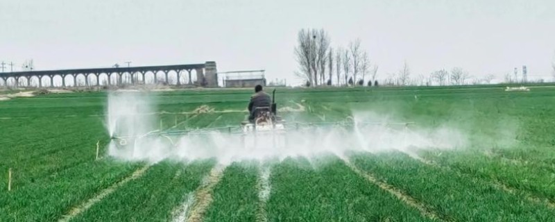 低温季节如何合理施用农药，可适当增加农药的用量