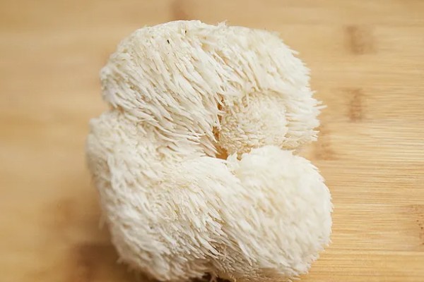 猴头菇的形态特点，其外形似猴子的头