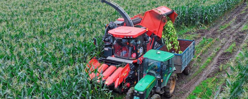 玉米收割机的安装调试方法，柴油机和收割机减速箱要连接三角带