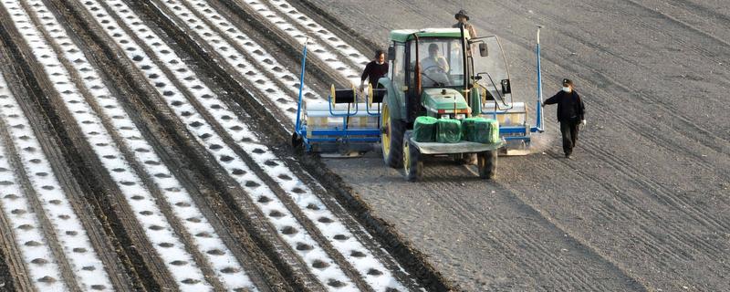 棉花的种植时间，一般集中在4月份