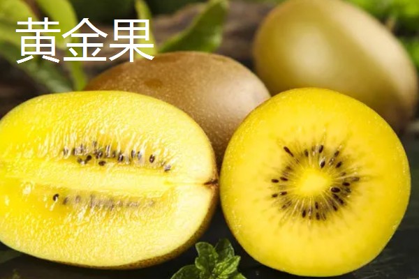 猕猴桃的价格，价格一般在5-20元一斤