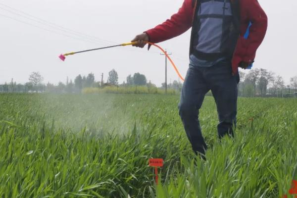 低温季节如何合理施用农药,可适当增加农药的用量