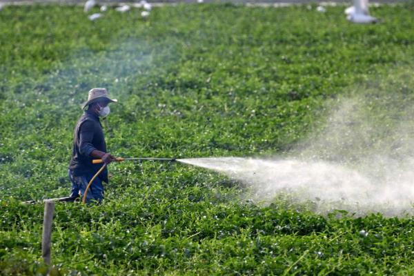 低温季节如何合理施用农药,可适当增加农药的用量
