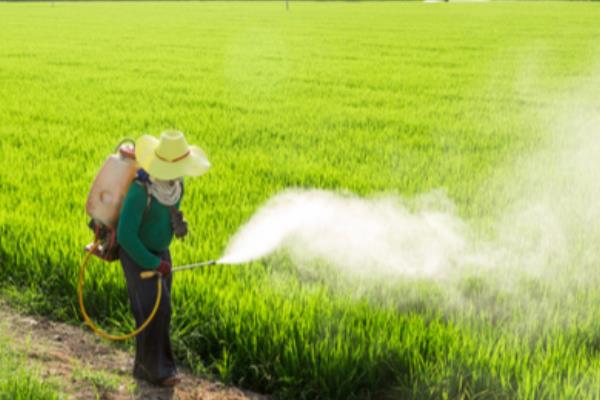 低温季节如何合理施用农药,可适当增加农药的用量