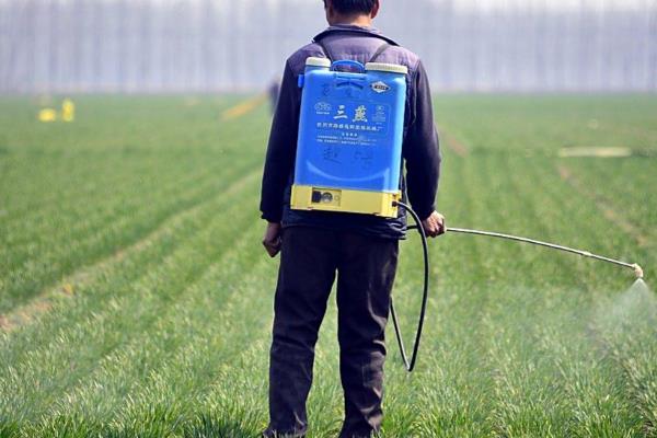 低温季节如何合理施用农药,可适当增加农药的用量