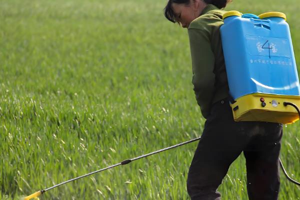 低温季节如何合理施用农药,可适当增加农药的用量