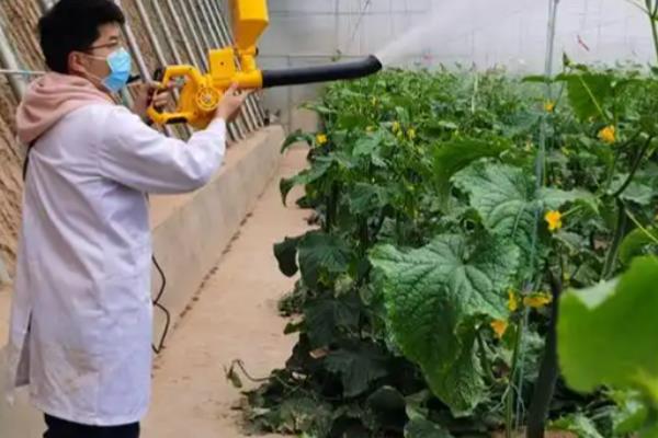 低温季节如何合理施用农药,可适当增加农药的用量