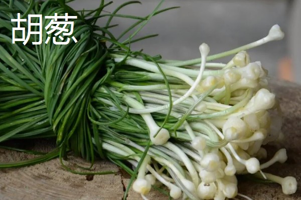 葱的品种，有普通大葱、分葱等