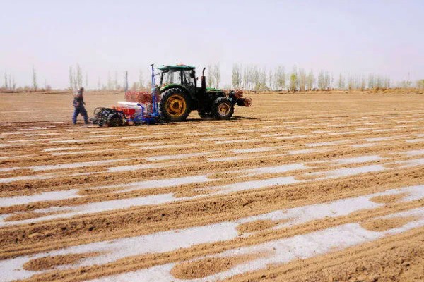 棉花的种植时间，一般集中在4月份