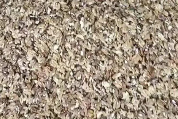 核桃仁发酵做肥料的方法，炒熟后混入土壤中再密封发酵