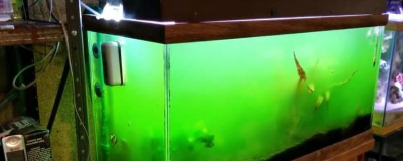 鱼缸uv灯正确的使用方法，首先要安装好进水管和出水管