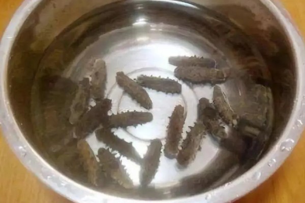 海参的泡发时间，干海参要泡2-3天左右