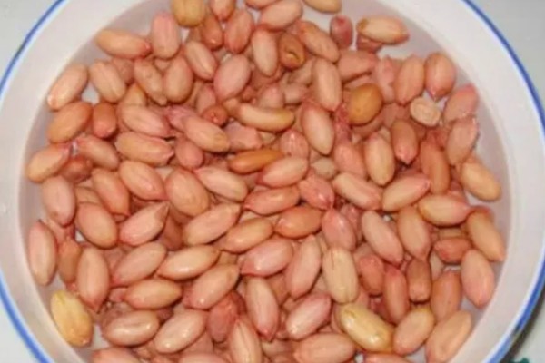 花生种子的好坏怎么区分，种皮易与种子分离代表它有活力