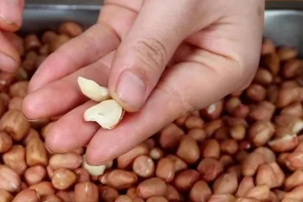 花生种子的好坏怎么区分，种皮易与种子分离代表它有活力
