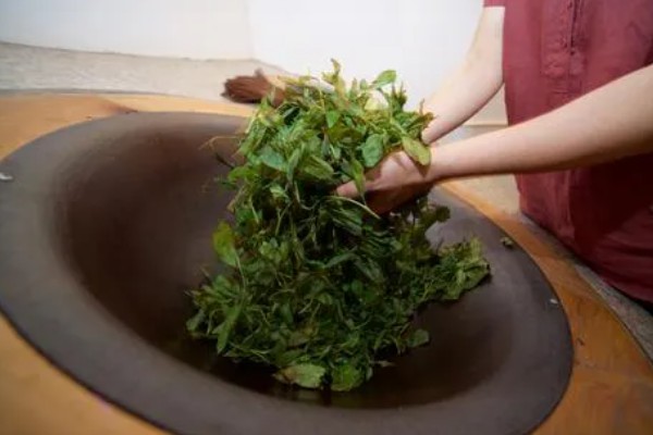 沱茶是不是生茶,既有生茶也有熟茶