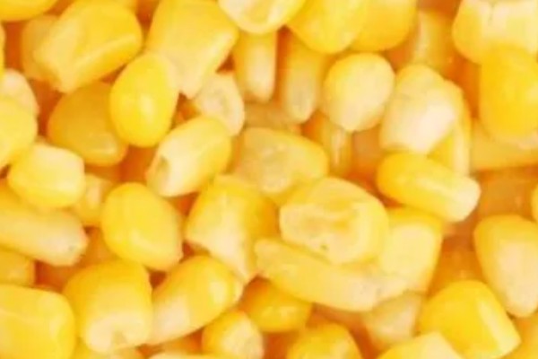 草鱼吃什么，吃水草、嫩叶等