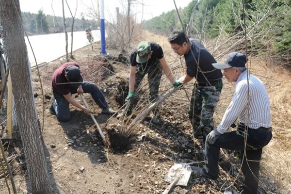 九月份可以移栽树木吗，九月份可以移栽树木