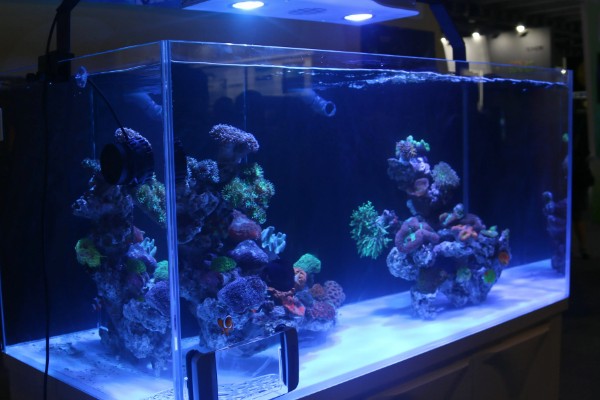 鱼缸uv灯正确的使用方法，首先要安装好进水管和出水管