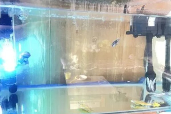 鱼缸uv灯正确的使用方法，首先要安装好进水管和出水管