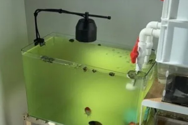 鱼缸uv灯正确的使用方法，首先要安装好进水管和出水管