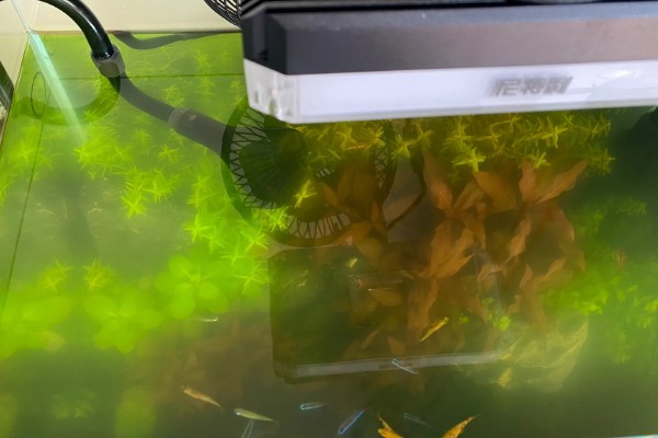 鱼缸uv灯正确的使用方法，首先要安装好进水管和出水管