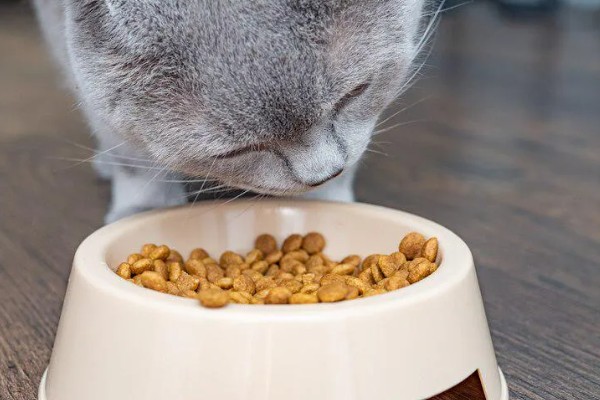 猫眼泪变成红色的原因,眼泪被氧化后会变成铁锈色