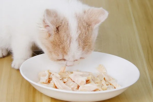 猫眼泪变成红色的原因,眼泪被氧化后会变成铁锈色