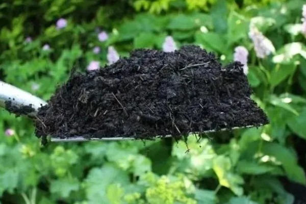 核桃仁发酵做肥料的方法，炒熟后混入土壤中再密封发酵