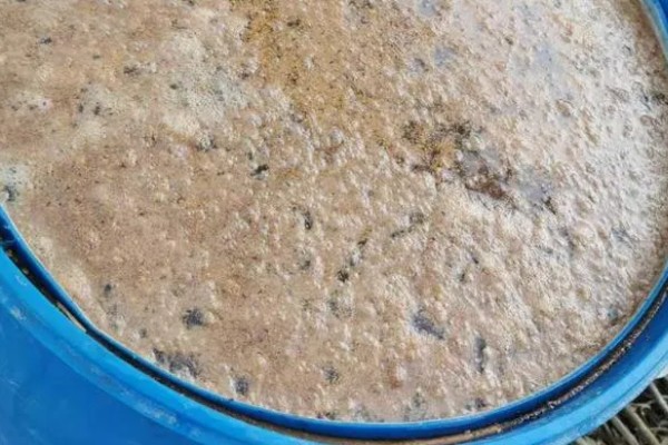 核桃仁发酵做肥料的方法，炒熟后混入土壤中再密封发酵