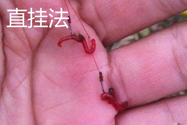 红虫钓鱼适用季节，冬季、早春最适合使用