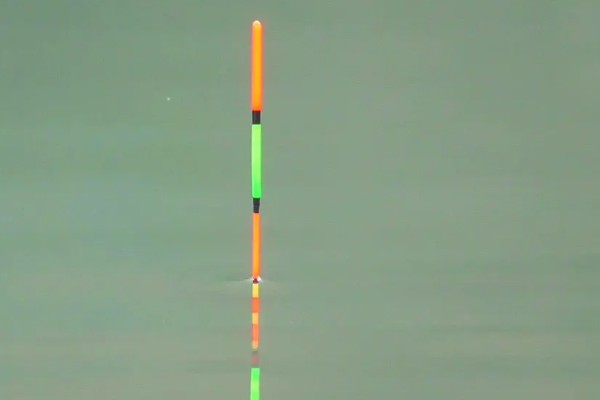 红虫钓鱼适用季节，冬季、早春最适合使用