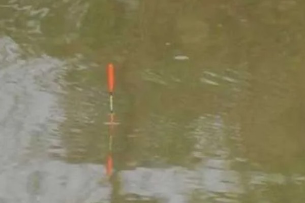 红虫钓鱼适用季节，冬季、早春最适合使用