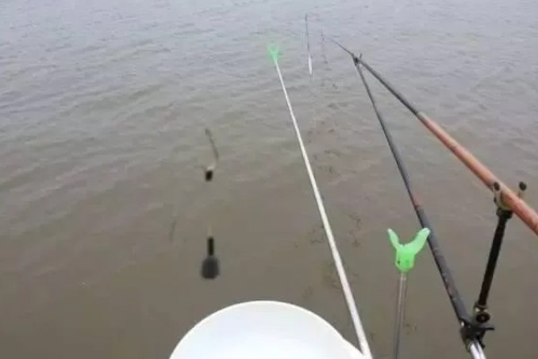 红虫钓鱼适用季节，冬季、早春最适合使用