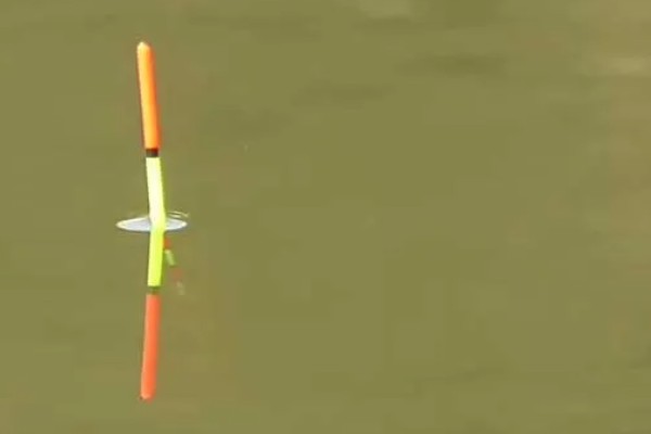 红虫钓鱼适用季节，冬季、早春最适合使用