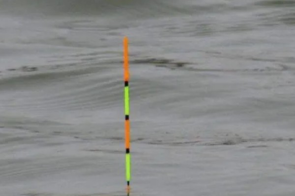 红虫钓鱼适用季节，冬季、早春最适合使用