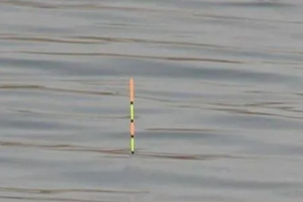 红虫钓鱼适用季节，冬季、早春最适合使用