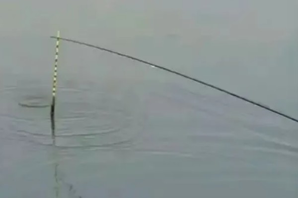 红虫钓鱼适用季节，冬季、早春最适合使用