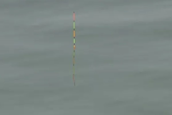 红虫钓鱼适用季节，冬季、早春最适合使用