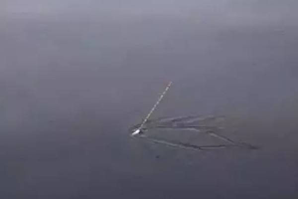 红虫钓鱼适用季节，冬季、早春最适合使用