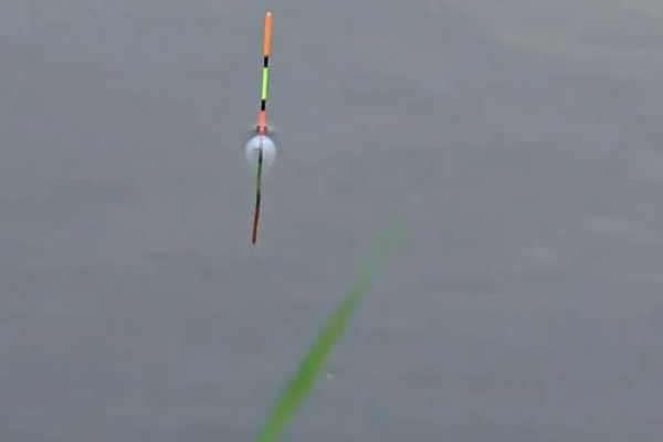 红虫钓鱼适用季节，冬季、早春最适合使用