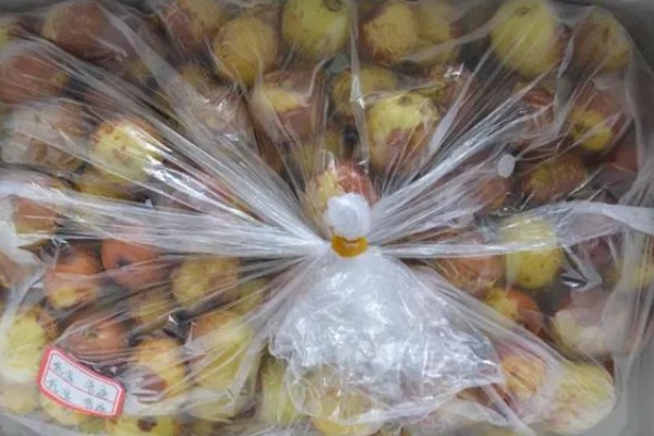 冬枣什么时间上市，在10月上、中旬成熟上市