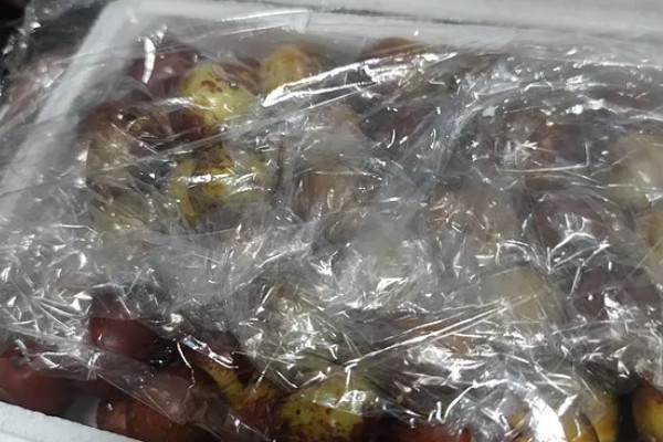 冬枣什么时间上市，在10月上、中旬成熟上市