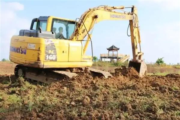 茶叶怎么种植，生长旺季每个月追肥一次