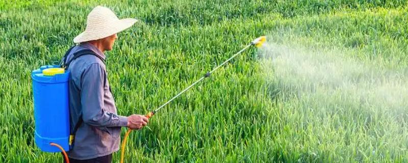 农药的分类，可分为杀虫剂、杀螨剂、杀菌剂等