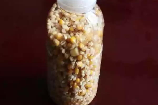 冬季钓草鱼要钓底吗，冬季草鱼需要钓底