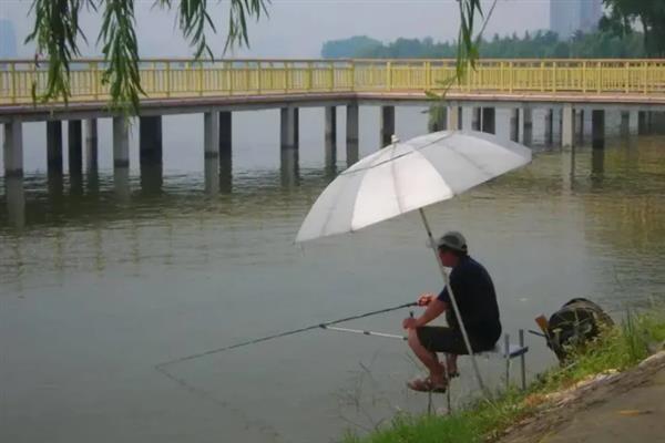 冬季钓草鱼要钓底吗，冬季草鱼需要钓底